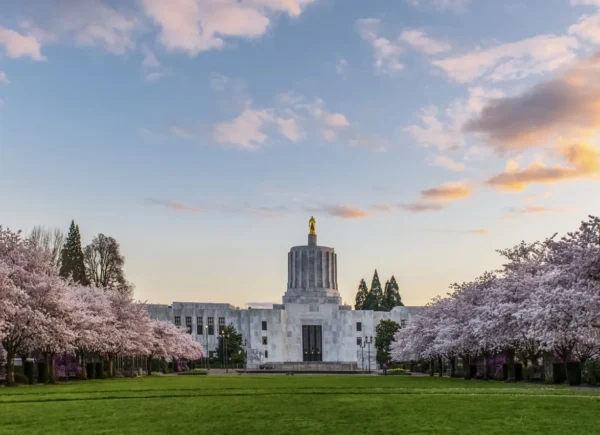 Teaching Preschool Partners Advances Play-Based Learning for K-5 Students in Oregon