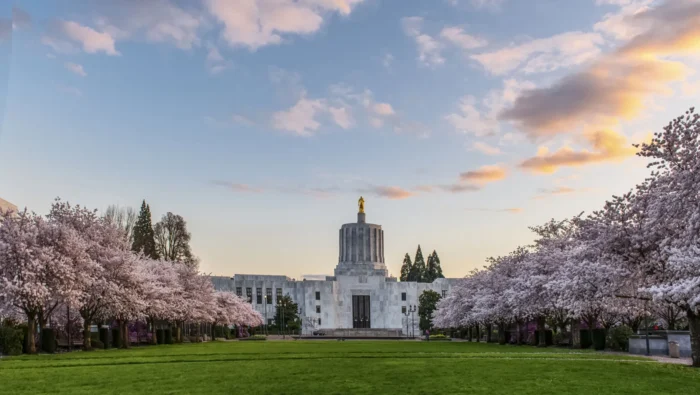 Teaching Preschool Partners Advances Play-Based Learning for K-5 Students in Oregon