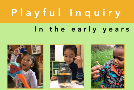 Playful Inquiry in the Early Years: Field Guide