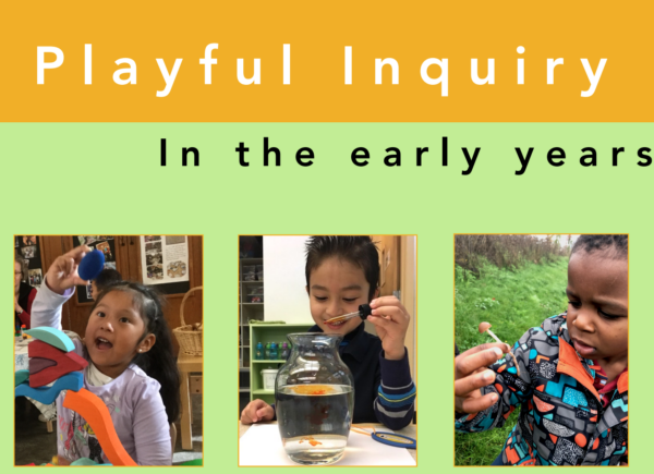 Playful Inquiry in the Early Years: Field Guide