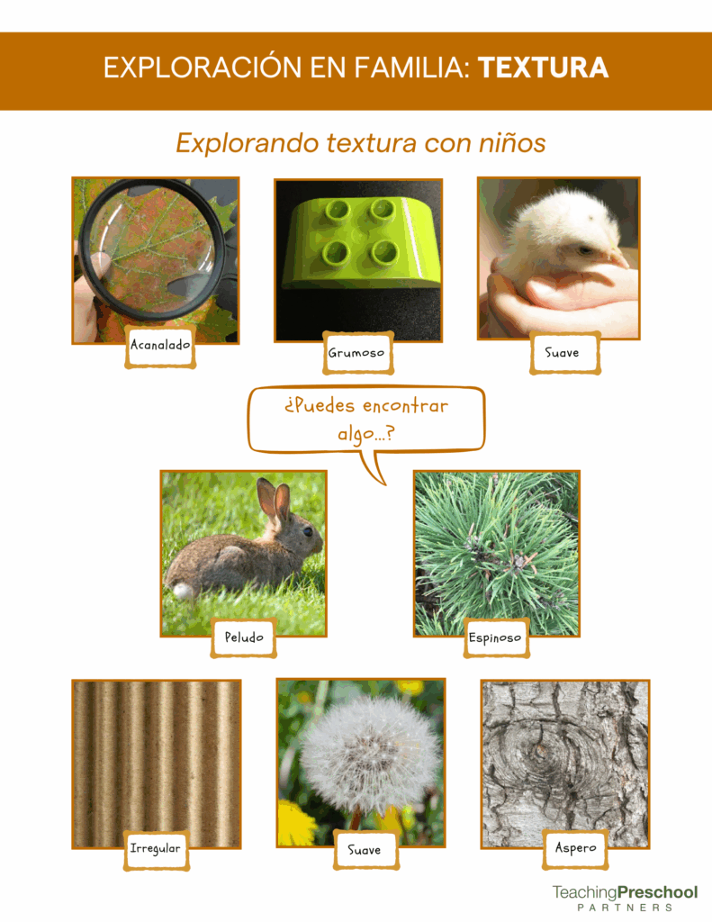 Family Explore: Texture - Teaching Preschool Partners