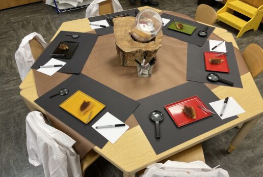 Environments for Playful Inquiry: Where do I start?