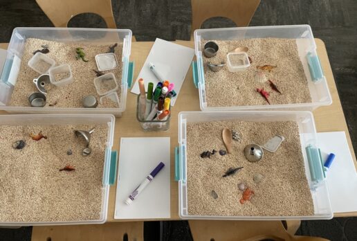 Sensory Play Gallery