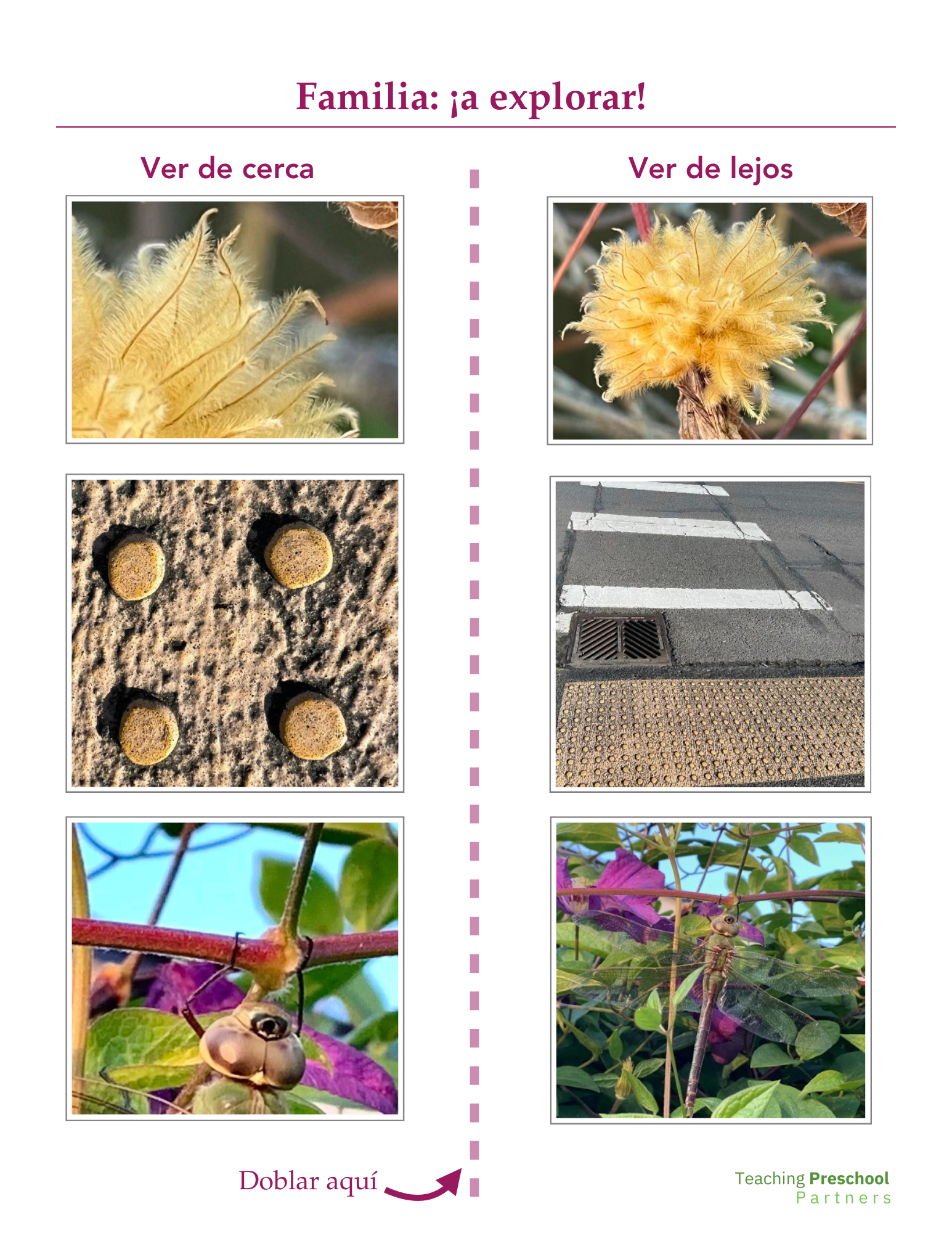 Block Grid Image